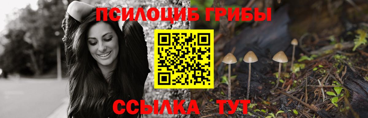 Гусь-Хрустальный  закладки  Вход с VPN  Псилоцибиновые грибы ЛСД 